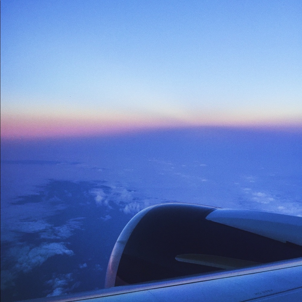Meet your Posher, Lyla